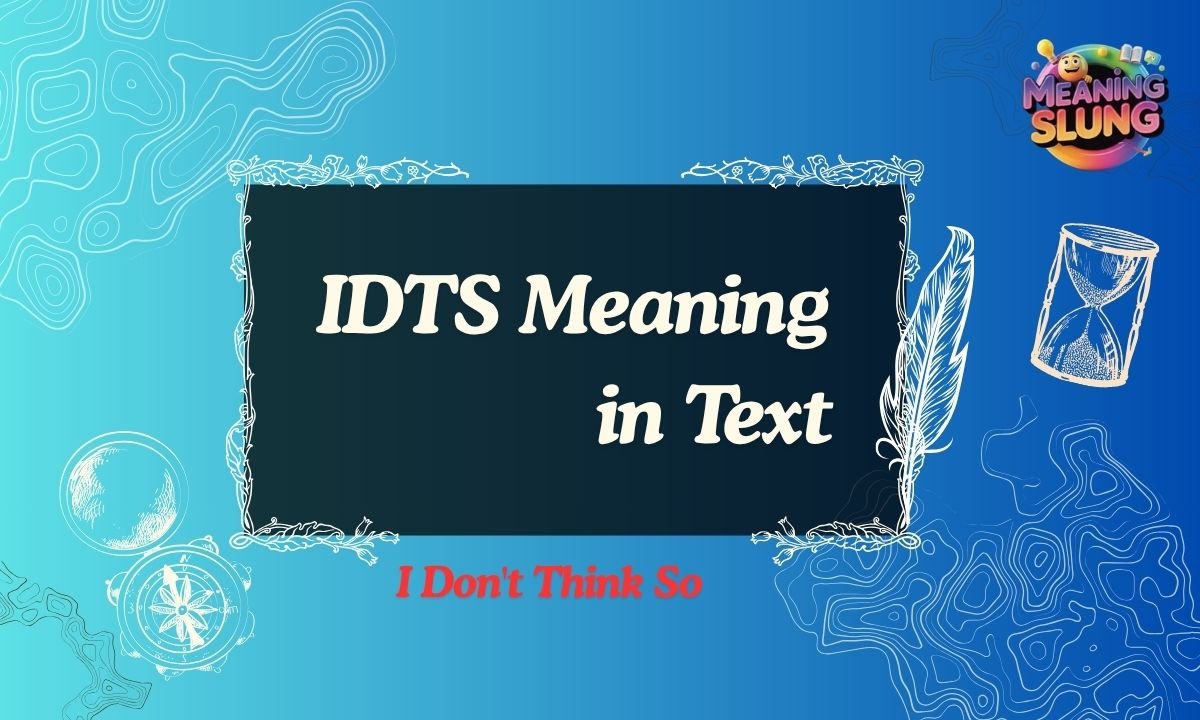 IDTS Meaning in Text What It Really Means, Usage, Examples, and How to Respond in 2026