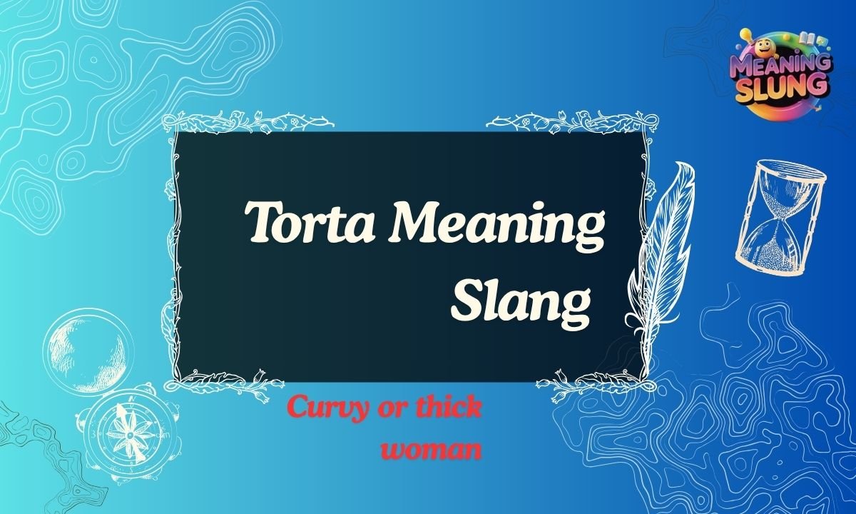 Torta Meaning Slang Explained Simple Definition, Examples, and Usage in 2026